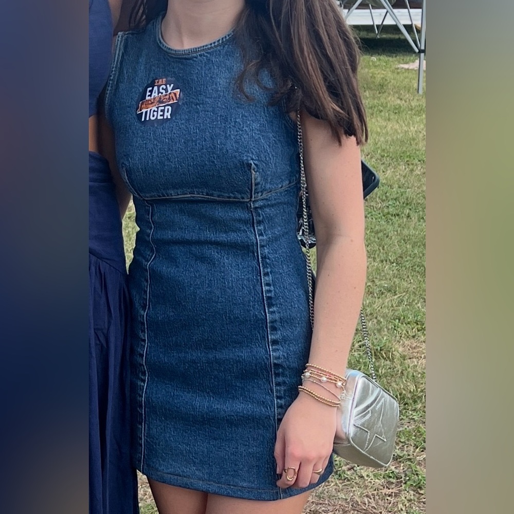 Zara Denim Sleeveless Dress